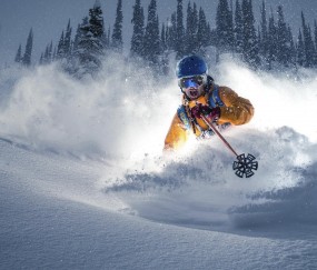 开云体育下载-赛道上的双重奇迹，红牛险胜背后的周冠宇统治时刻