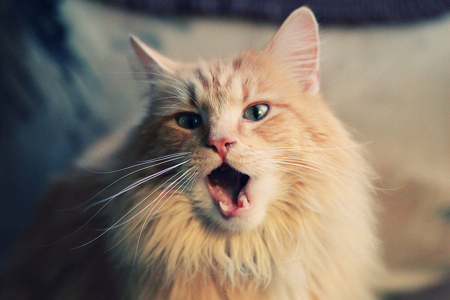 德里赫特铁壁封喉,阿森纳险胜马赛的欧冠之夜