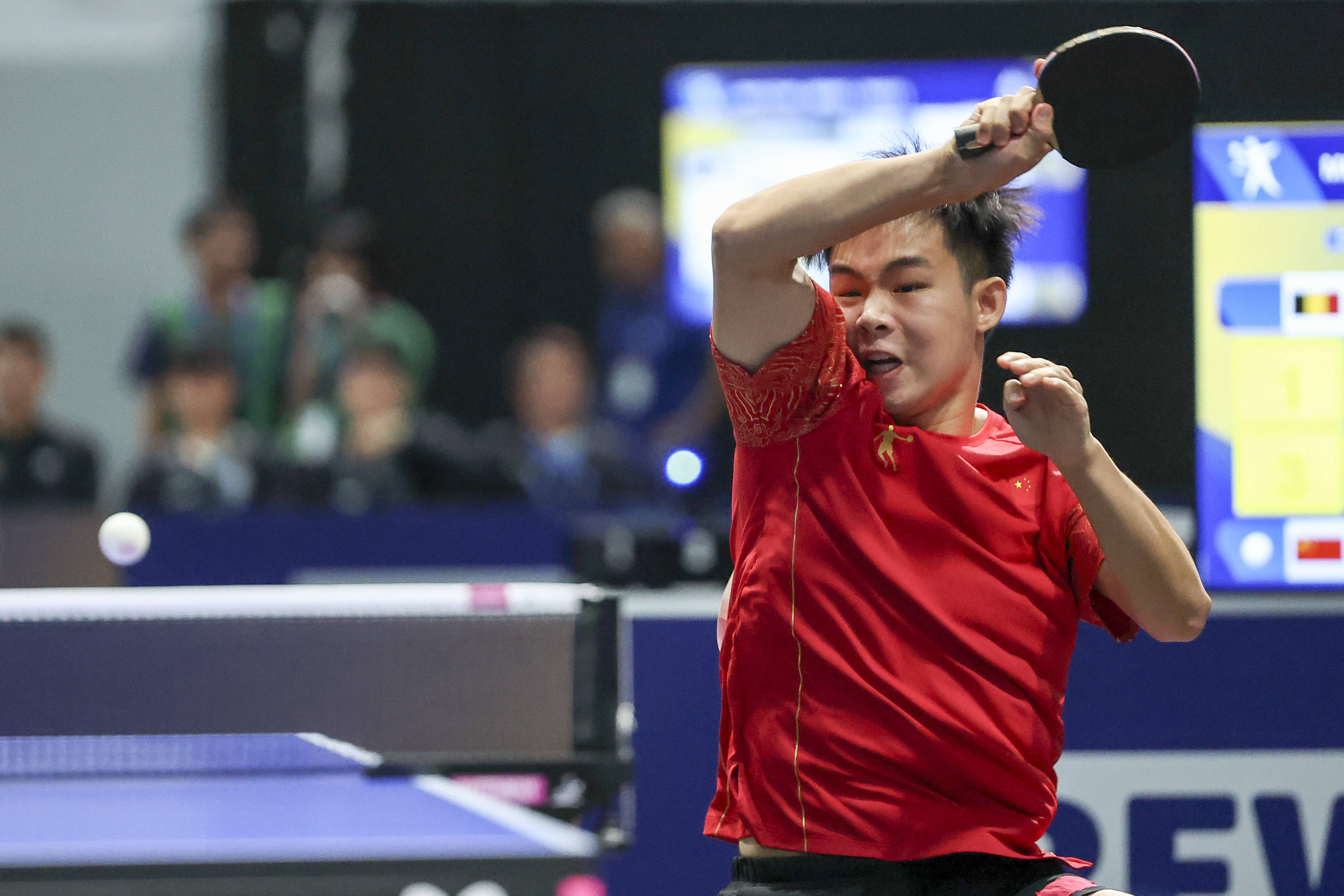 比利时乒乓球队险胜波兰乒乓球队，马龙爆发神勇